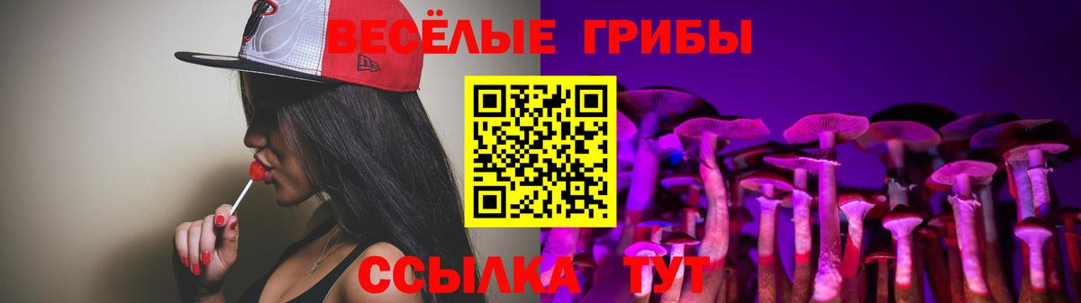 Галлюциногенные грибы Psilocybe  Вход с VPN  Усть-Кут  Псилоцибиновые грибы прущие грибы 